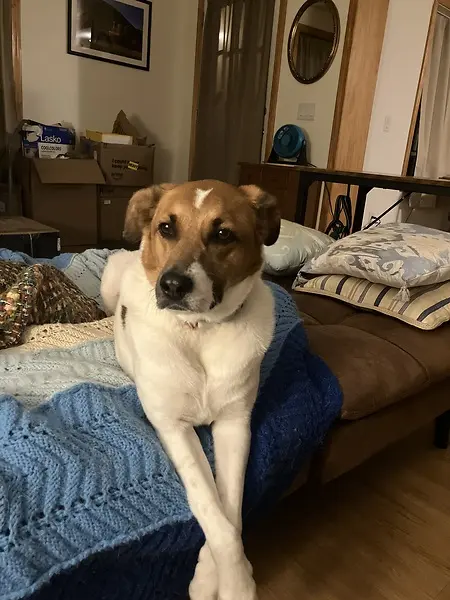 Sitting pretty