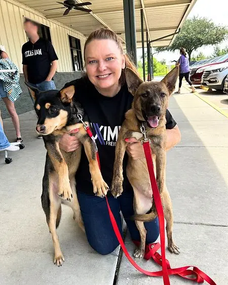 Dogs are truly the most pure-hearted creatures on the planet. ❤️🐾

I'm so grateful to foster with MCAS and give a few of these beautiful souls a little extra love along  their journey to finding their forever homes! 