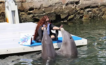 Hanging out with my dolphin boys, Bob & Alphonse!