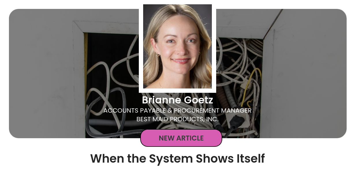 When The System Shows Itself when-the-system-shows-itself
