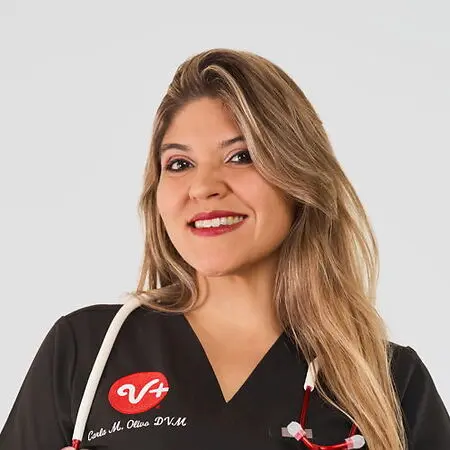 Carla Olivo, DVM