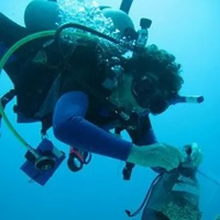 Pamela  Hallock Muller