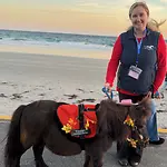 Hayley K.  Holzhacker, Executive Director & Founder on Influential Women