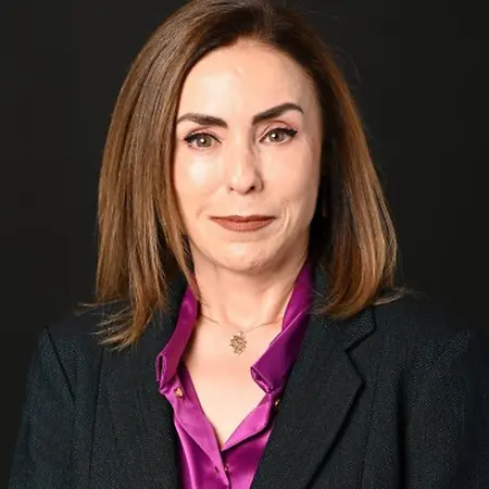 Fatemeh Ari Mirabedi